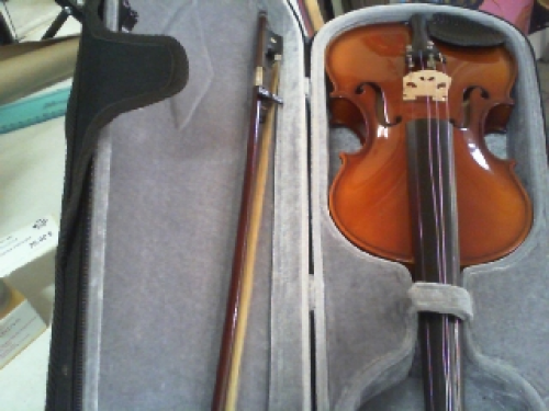 Violino Rumeno Righin 4/4 Con 
